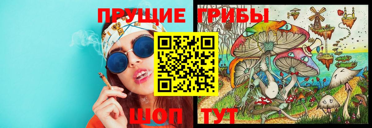 Галлюциногенные грибы GOLDEN TEACHER  Вход с VPN  Россия 